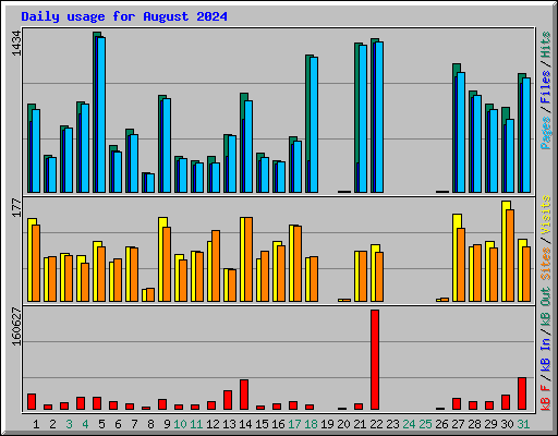 Daily usage for August 2024