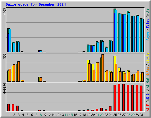 Daily usage for December 2024