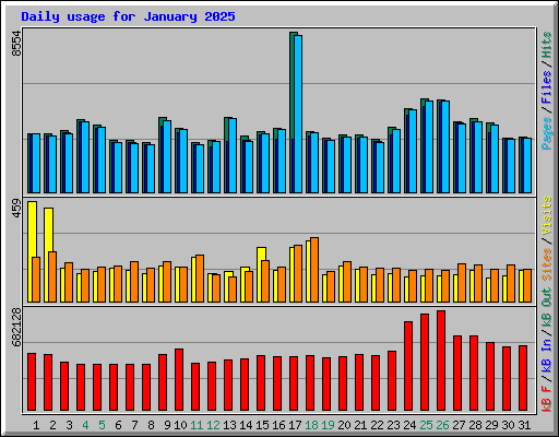 Daily usage for January 2025