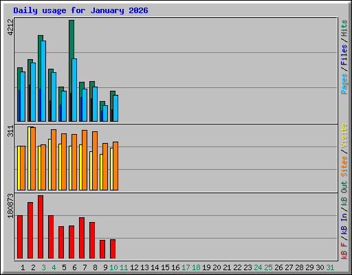 Daily usage for January 2026