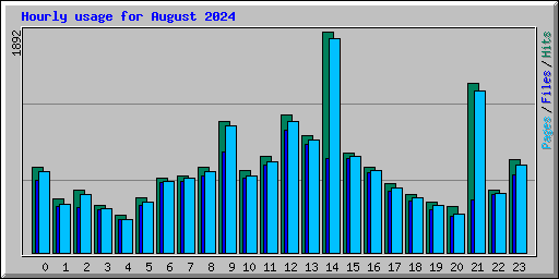 Hourly usage for August 2024