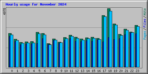 Hourly usage for November 2024