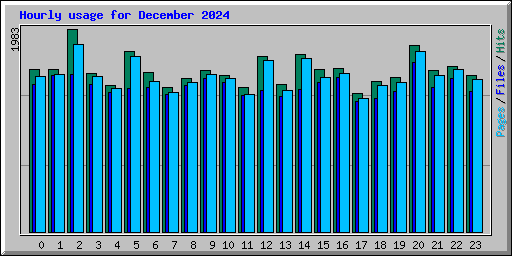 Hourly usage for December 2024