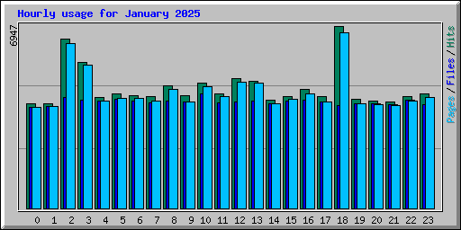 Hourly usage for January 2025