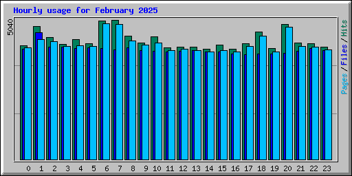 Hourly usage for February 2025