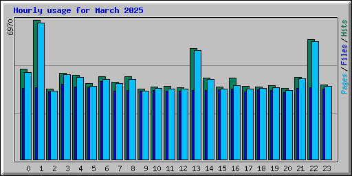 Hourly usage for March 2025