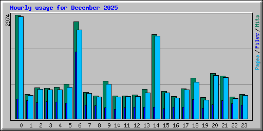 Hourly usage for December 2025