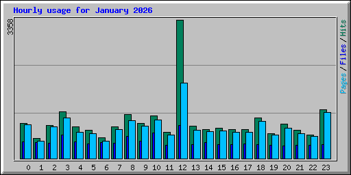Hourly usage for January 2026